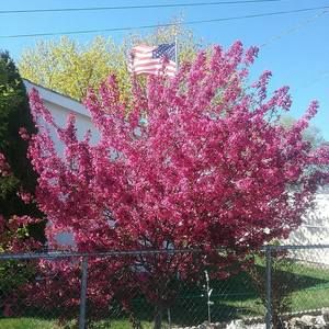 Meet your Posher, Vicki